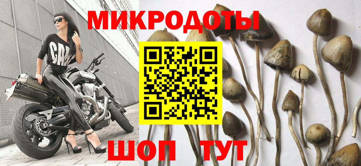 Кудымкар  Галлюциногенные грибы Psilocybe  Вход с VPN  Галлюциногенные грибы прущие грибы 