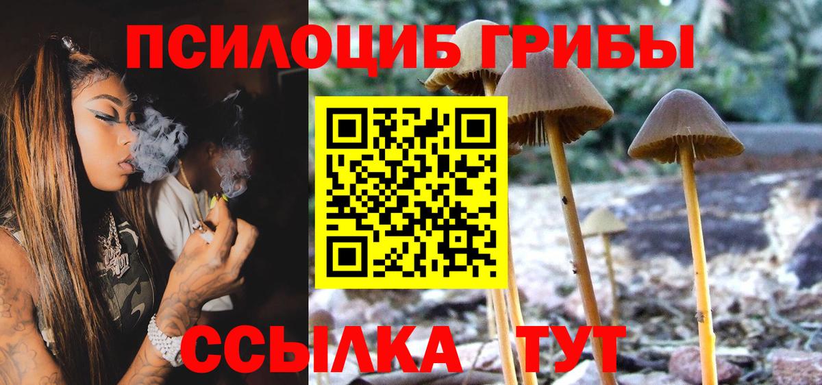 Купить наркоту  ГАШИШ  Меф  MDMA  Кудымкар  МЕФ кристаллы  Конопля  Вход с VPN  Кокаин 